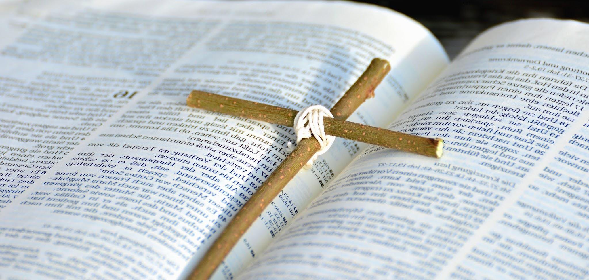 How Bible Teachers Help Bring Scripture to Life for the Next Generation iamge